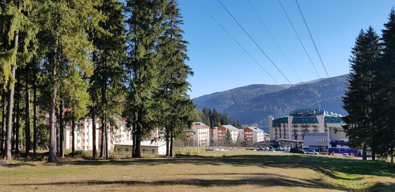 Apartament Silva Buşteni Zewnętrze zdjęcie