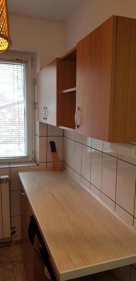 Apartament Silva Buşteni Zewnętrze zdjęcie