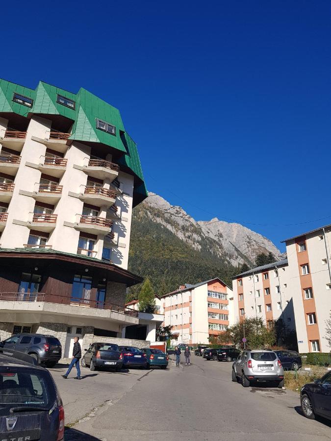 Apartament Silva Buşteni Zewnętrze zdjęcie